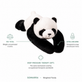 Pippin the Weighted Panda